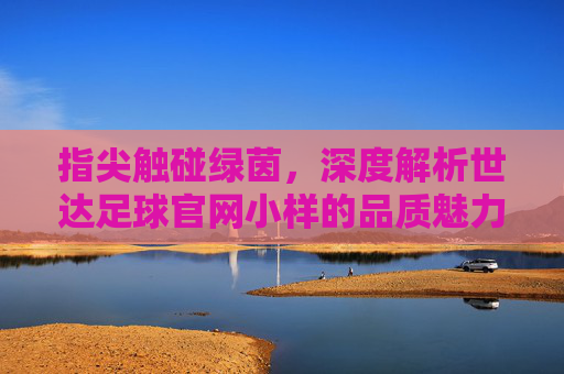 指尖触碰绿茵,深度解析世达足球官网小样的品质魅力