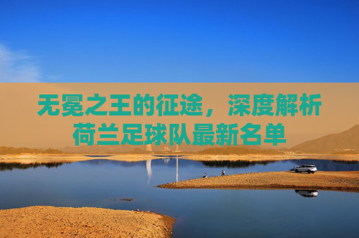无冕之王的征途,深度解析荷兰足球队最新名单