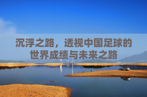 沉浮之路,透视中国足球的世界成绩与未来之路