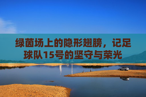 绿茵场上的隐形翅膀,记足球队15号的坚守与荣光