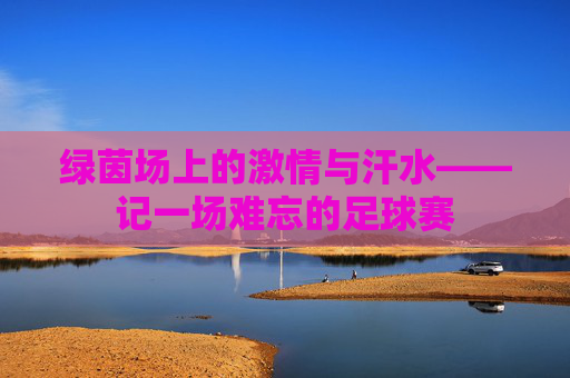 绿茵场上的激情与汗水——记一场难忘的足球赛