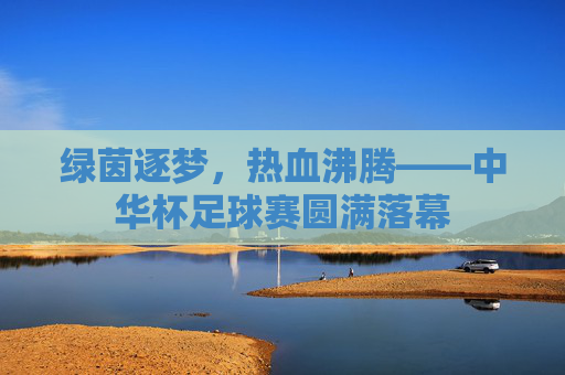 绿茵逐梦,热血沸腾——中华杯足球赛圆满落幕