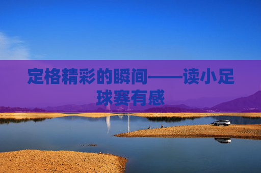 定格精彩的瞬间——读小足球赛有感