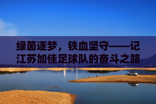 绿茵逐梦,铁血坚守——记江苏加佳足球队的奋斗之路