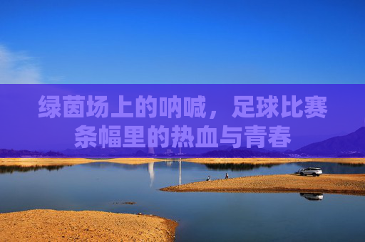 绿茵场上的呐喊,足球比赛条幅里的热血与青春