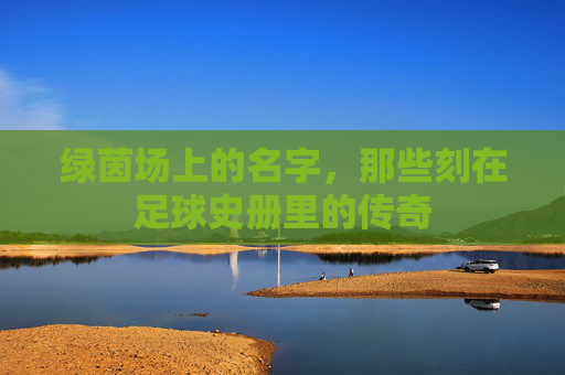 绿茵场上的名字,那些刻在足球史册里的传奇