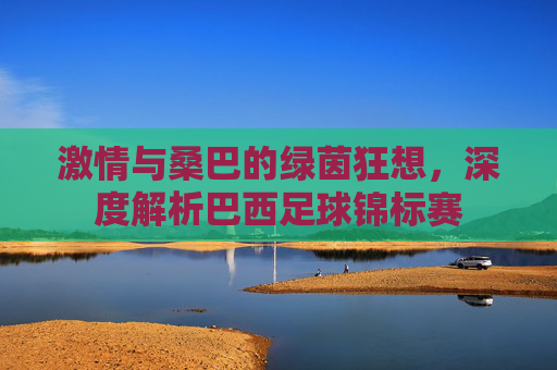 激情与桑巴的绿茵狂想,深度解析巴西足球锦标赛