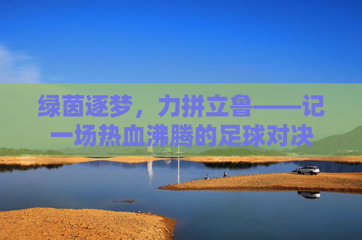 绿茵逐梦,力拼立鲁——记一场热血沸腾的足球对决