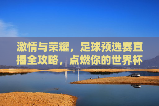 激情与荣耀,足球预选赛直播全攻略,点燃你的世界杯之梦