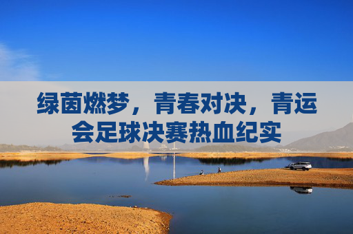 绿茵燃梦,青春对决,青运会足球决赛热血纪实