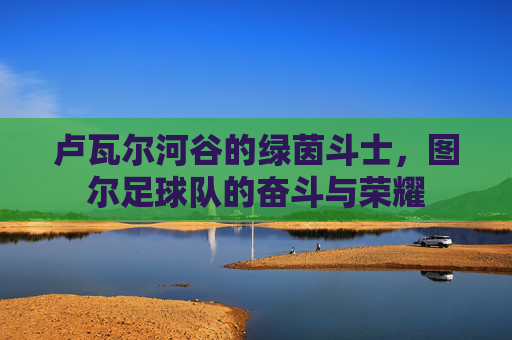 卢瓦尔河谷的绿茵斗士,图尔足球队的奋斗与荣耀