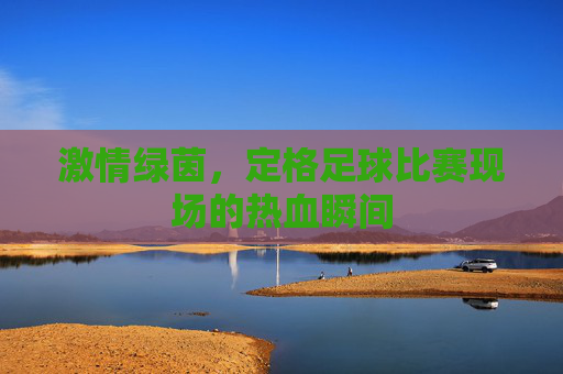 激情绿茵,定格足球比赛现场的热血瞬间