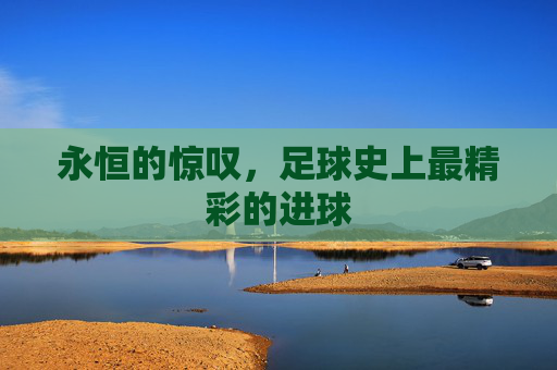 永恒的惊叹,足球史上最精彩的进球