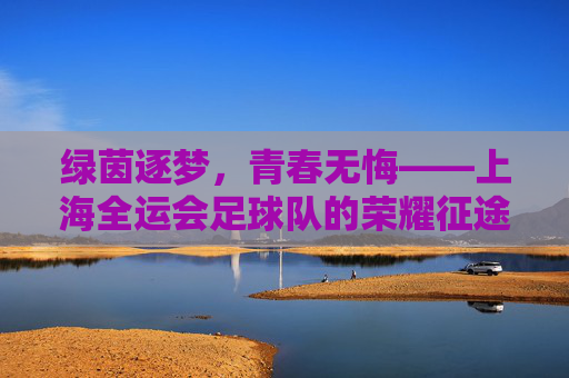 绿茵逐梦,青春无悔——上海全运会足球队的荣耀征途