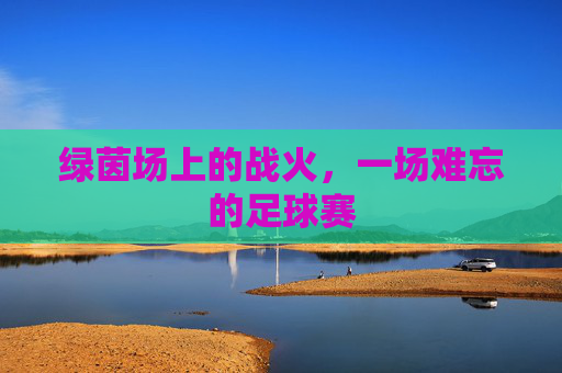 绿茵场上的战火,一场难忘的足球赛