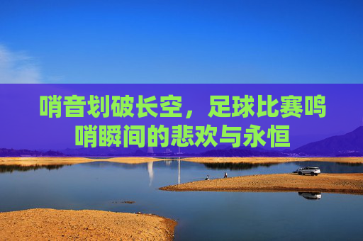 哨音划破长空,足球比赛鸣哨瞬间的悲欢与永恒