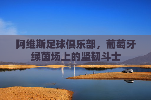 阿维斯足球俱乐部,葡萄牙绿茵场上的坚韧斗士