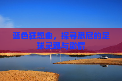 蓝色狂想曲,探寻悉尼的足球灵魂与激情