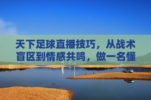 天下足球直播技巧,从战术盲区到情感共鸣,做一名懂球的看门人