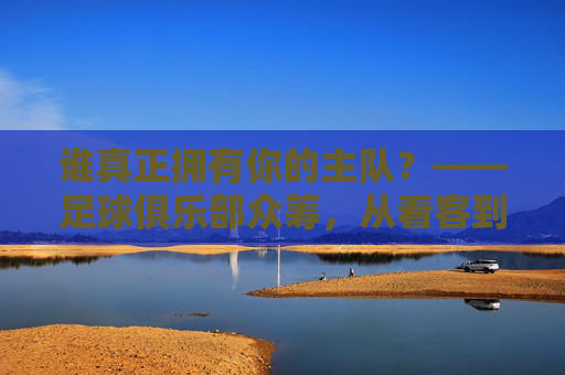 谁真正拥有你的主队?——足球俱乐部众筹,从看客到股东的觉醒