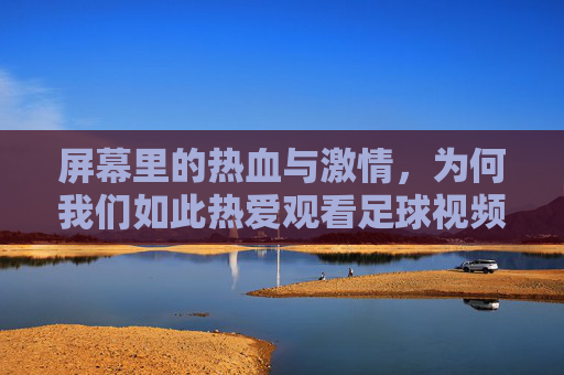屏幕里的热血与激情,为何我们如此热爱观看足球视频