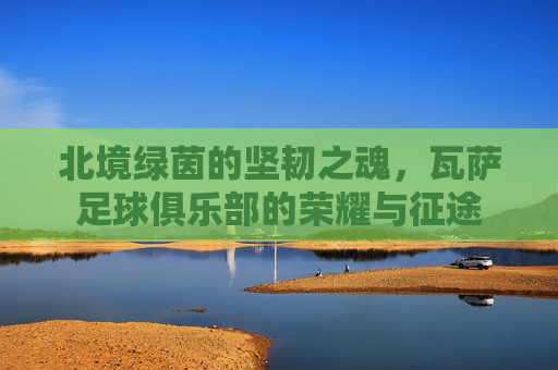 北境绿茵的坚韧之魂,瓦萨足球俱乐部的荣耀与征途