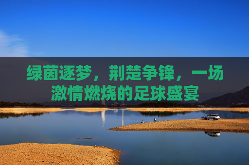 绿茵逐梦,荆楚争锋,一场激情燃烧的足球盛宴