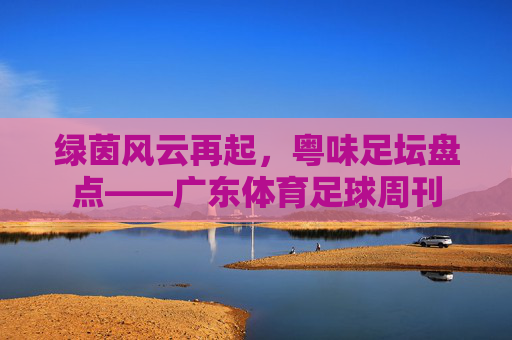 绿茵风云再起,粤味足坛盘点——广东体育足球周刊