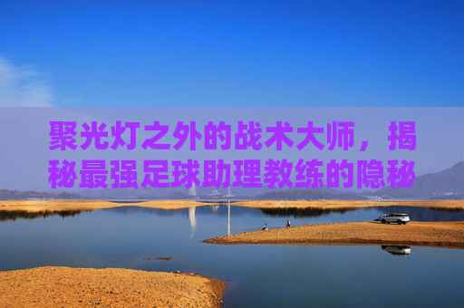 聚光灯之外的战术大师,揭秘最强足球助理教练的隐秘力量