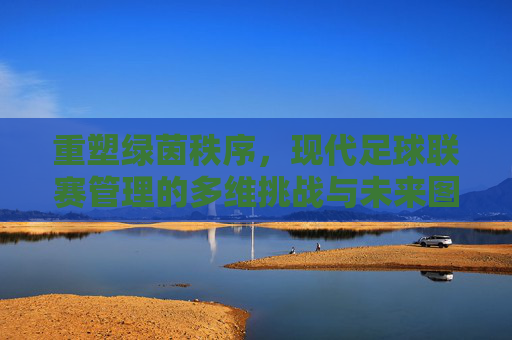 重塑绿茵秩序,现代足球联赛管理的多维挑战与未来图景