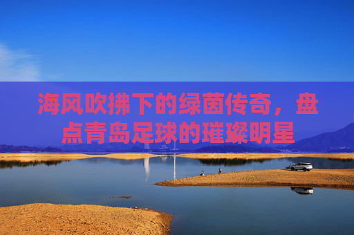 海风吹拂下的绿茵传奇,盘点青岛足球的璀璨明星