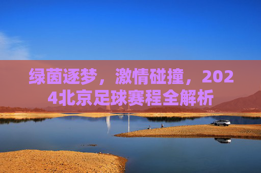 绿茵逐梦,激情碰撞,2024北京足球赛程全解析
