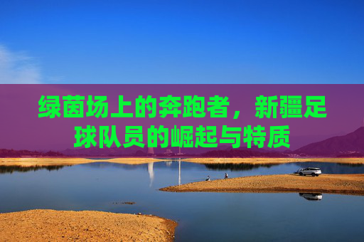 绿茵场上的奔跑者,新疆足球队员的崛起与特质