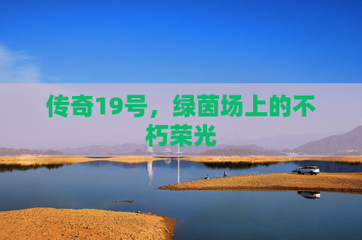 传奇19号,绿茵场上的不朽荣光