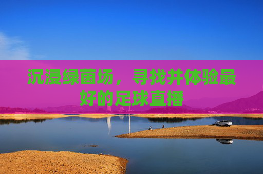 沉浸绿茵场,寻找并体验最好的足球直播