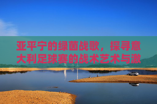 亚平宁的绿茵战歌，探寻意大利足球赛的战术艺术与激情灵魂