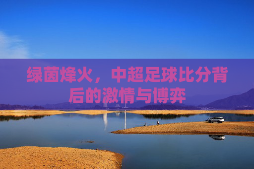 绿茵烽火,中超足球比分背后的激情与博弈
