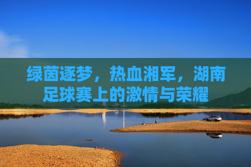 绿茵逐梦，热血湘军，湖南足球赛上的激情与荣耀