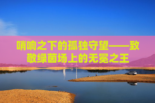 哨响之下的孤独守望——致敬绿茵场上的无冕之王
