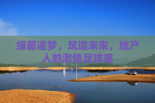 绿茵逐梦,筑造未来,地产人的激情足球赛
