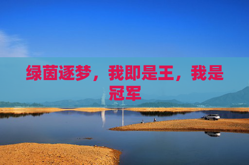 绿茵逐梦,我即是王,我是冠军