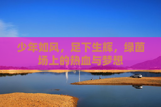 少年如风,足下生辉,绿茵场上的热血与梦想