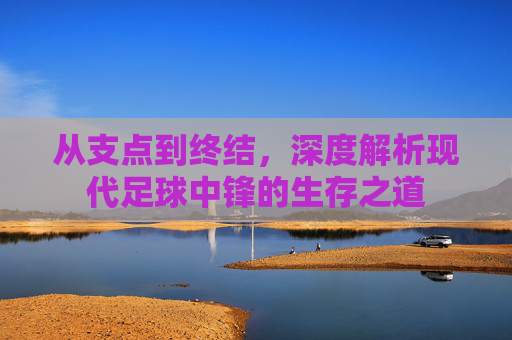 从支点到终结,深度解析现代足球中锋的生存之道