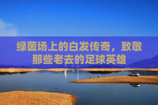 绿茵场上的白发传奇,致敬那些老去的足球英雄