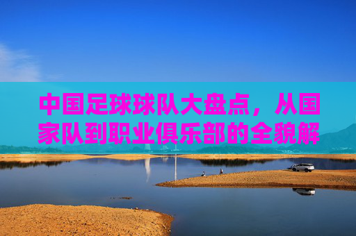 中国足球球队大盘点,从国家队到职业俱乐部的全貌解析