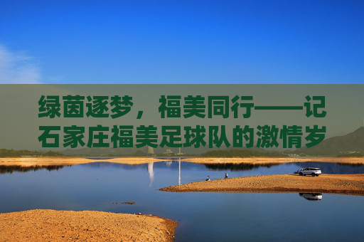 绿茵逐梦,福美同行——记石家庄福美足球队的激情岁月