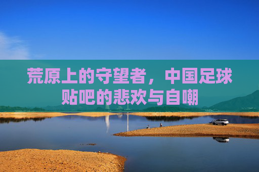 荒原上的守望者,中国足球贴吧的悲欢与自嘲