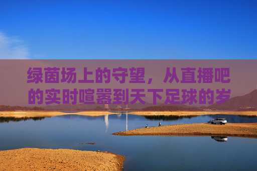 绿茵场上的守望,从直播吧的实时喧嚣到天下足球的岁月静好