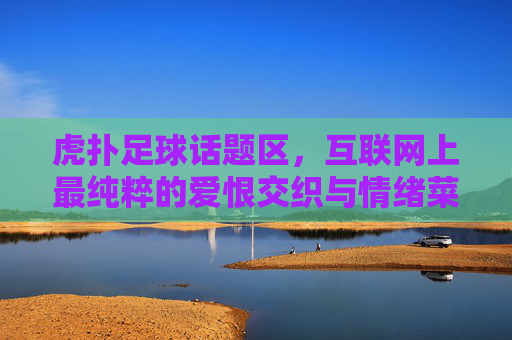 虎扑足球话题区,互联网上最纯粹的爱恨交织与情绪菜市场