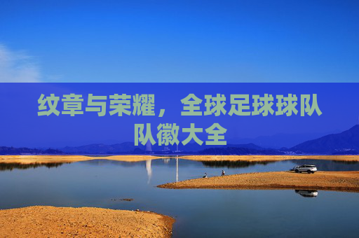 纹章与荣耀,全球足球球队队徽大全